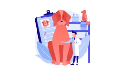 Dog First Aid