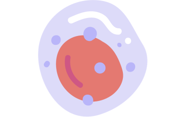 Cell Biology Fundamentals