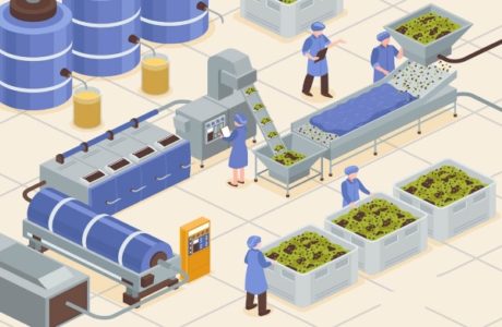 Food Safety & Sanitation for Food Manufacturers