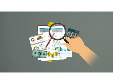 Examining the Balance Sheet