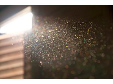 Combustible Dust Course