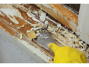 Health Hazards in Construction, Parts 1-5