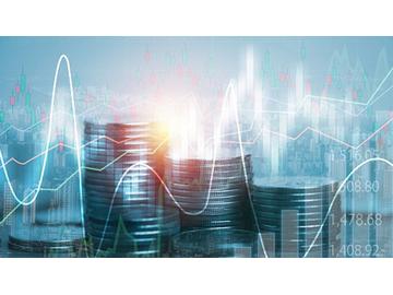 Economics: Exchange Rate and Trade Barriers