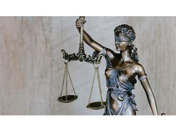 Business Law: Application of Law to Business Enterprise and Contract Law
