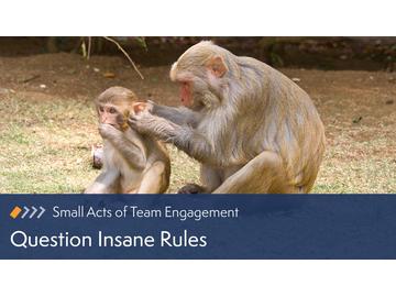 Small Acts of Team Engagement: Question Insane Rules