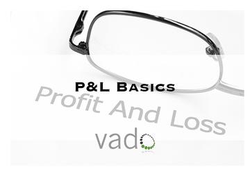 P&L Basics Course