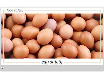 Food Safety: Egg Safety