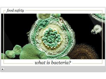 Food Safety: What is Bacteria?