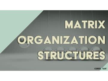 Matrix Organization Structures