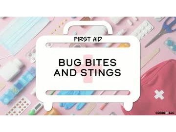 First Aid: Bug Bites and Stings