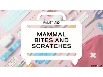First Aid: Mammal Bites and Scratches