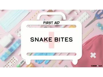 First Aid: Snake Bites