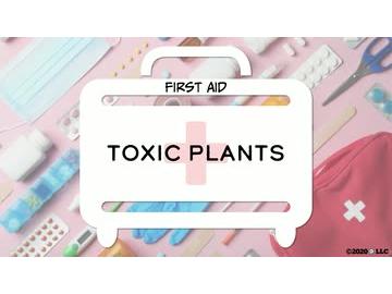 First Aid: Toxic Plants