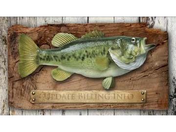 Email Phishing