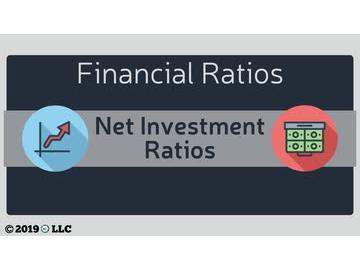 Financial Ratios: 03. Net Investment Ratios