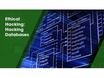 Ethical Hacking: Hacking Databases