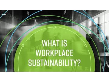 Sustainability Basics: What Is Workplace Sustainability?