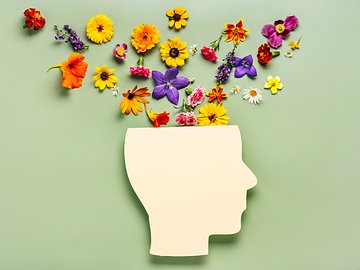 Elevate your Mental Health and Well-being