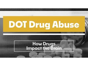 DOT Drug Abuse: 05. How Drugs Impact the Brain