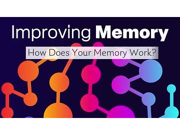 Improving Memory: 01. How Does Your Memory Work?