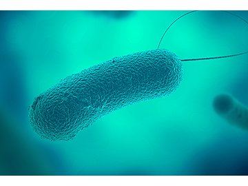 Healthy Buildings: Legionella and Water Management Course