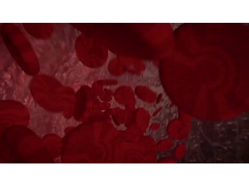 Bloodborne Pathogens: What are Bloodborne Pathogens?