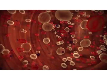 Kitchen Safety - Food Safety: Bloodborne Pathogens