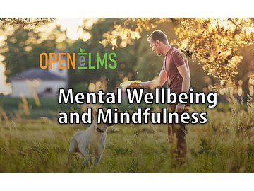Mental Wellbeing and Mindfulness Course