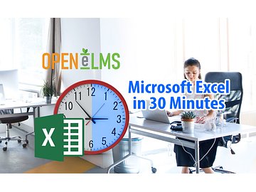 Microsoft Excel in 30 Minutes Course