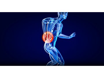 Back Safety - Orientation