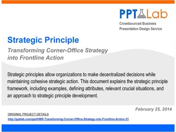 Strategic Principle Framework