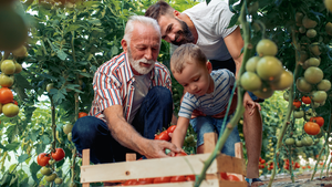 Jardinage Bio